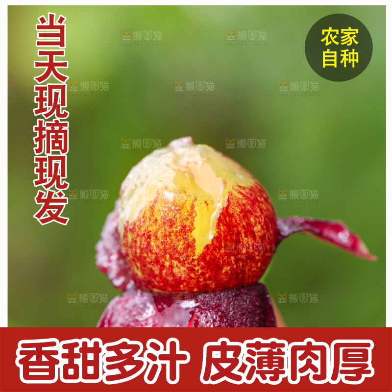 手拿剥皮的巨峰葡萄