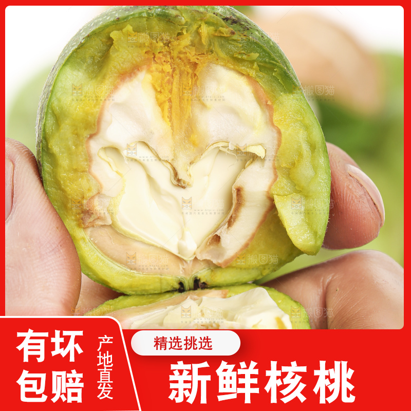 手拿青皮核桃