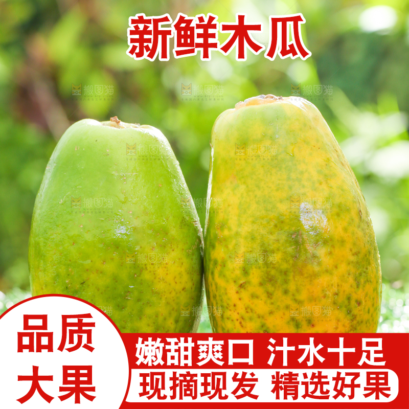草地上放着木瓜
