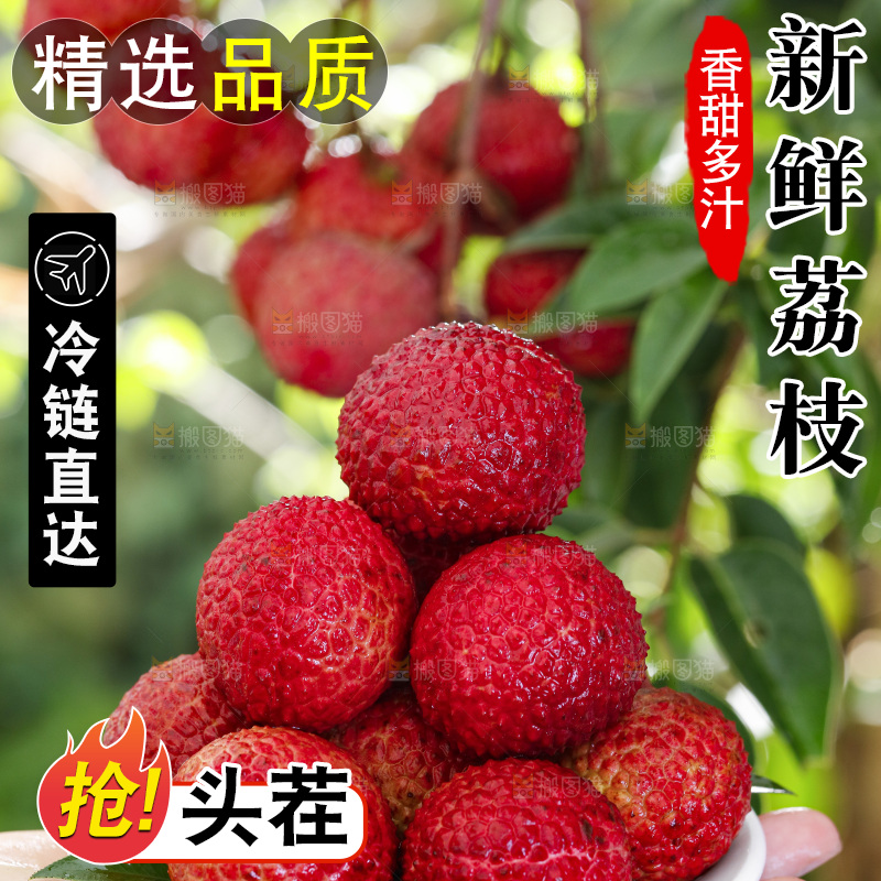 手端一盘荔枝