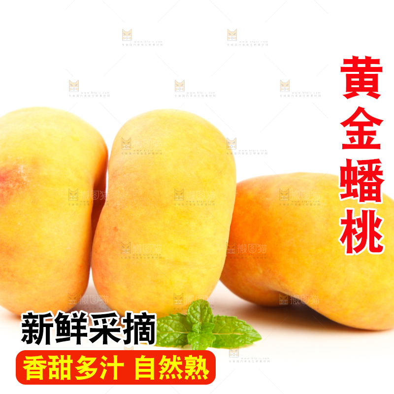 白底上的黄金扁桃
