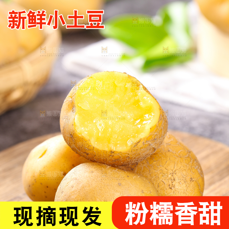 木底上的云南黄心小土豆