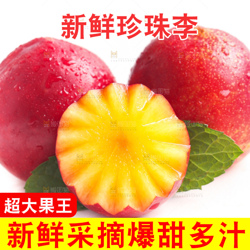 白底上的珍珠李