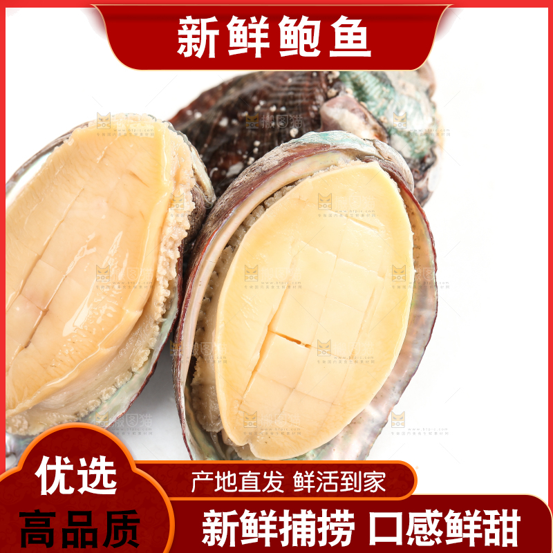 白底上放着新鲜剥开的鲜鲍鱼