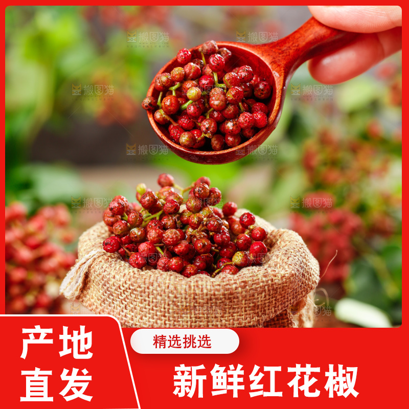 勺子里的新鲜花椒
