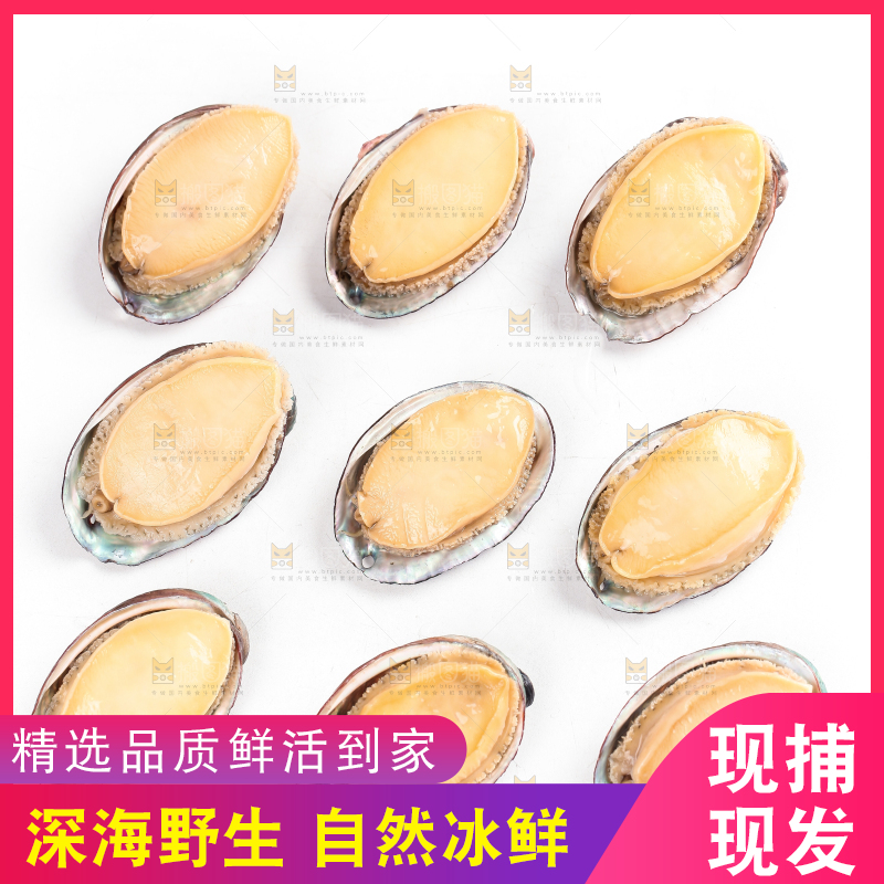 白底上放着新鲜剥开的活动大鲍鱼