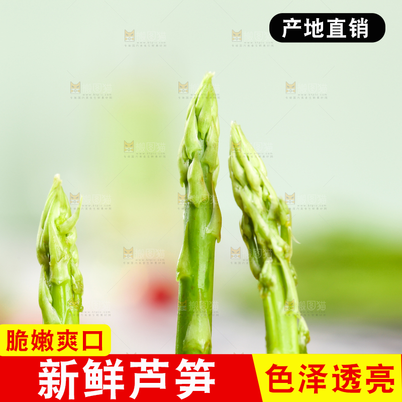 浅底上的青芦笋