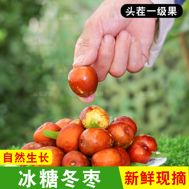 草地上手里拿着冬枣