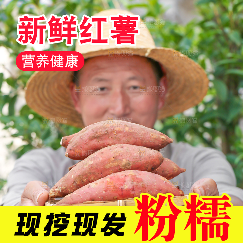 农民手里端着一盘红心红薯