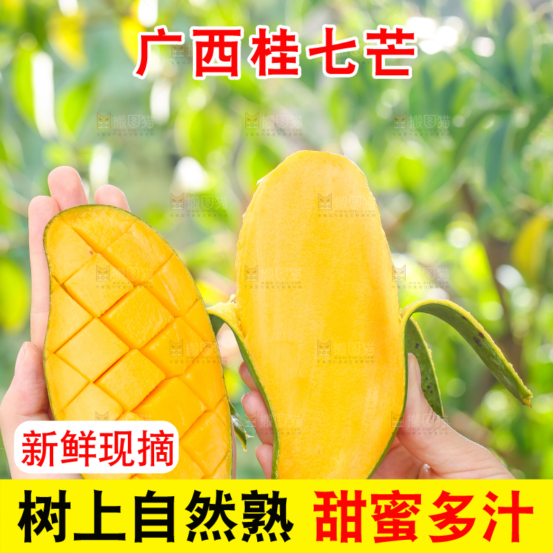 手拿剥皮的田东桂七芒