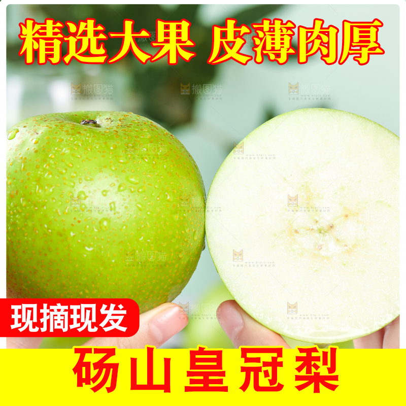 手拿切开的砀山青梨