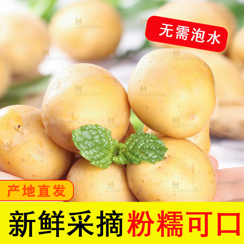 手拿云南小土豆