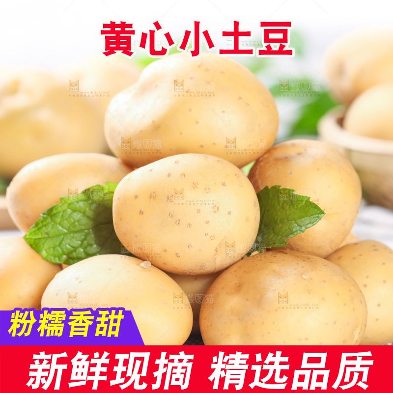 浅底上放着一堆小土豆