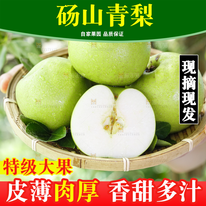 手拿一盘砀山青皮翠冠梨