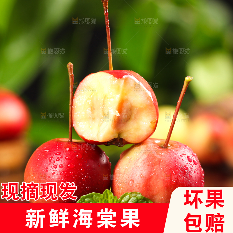 黑石板上的野生海棠果