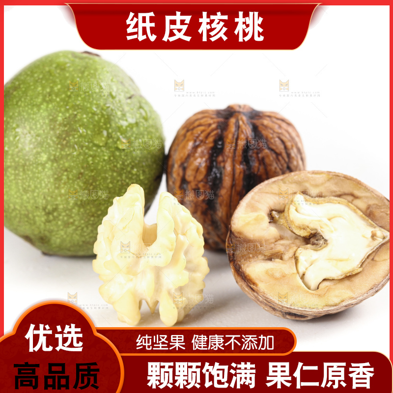 白底上的新鲜湿核桃