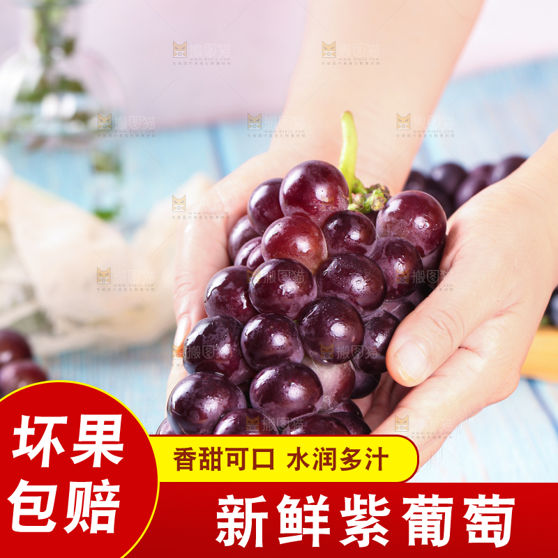 手拿东北巨峰葡萄