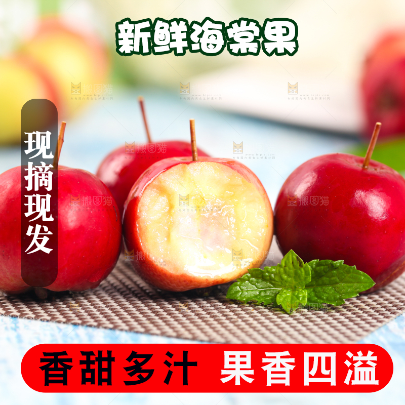 浅底上的东北海棠果