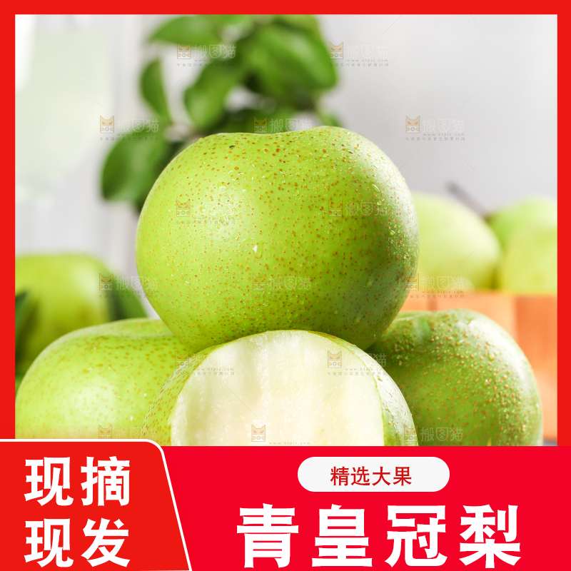 木底上的砀山青梨
