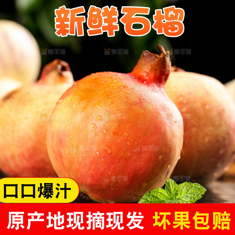 黑底上的石榴