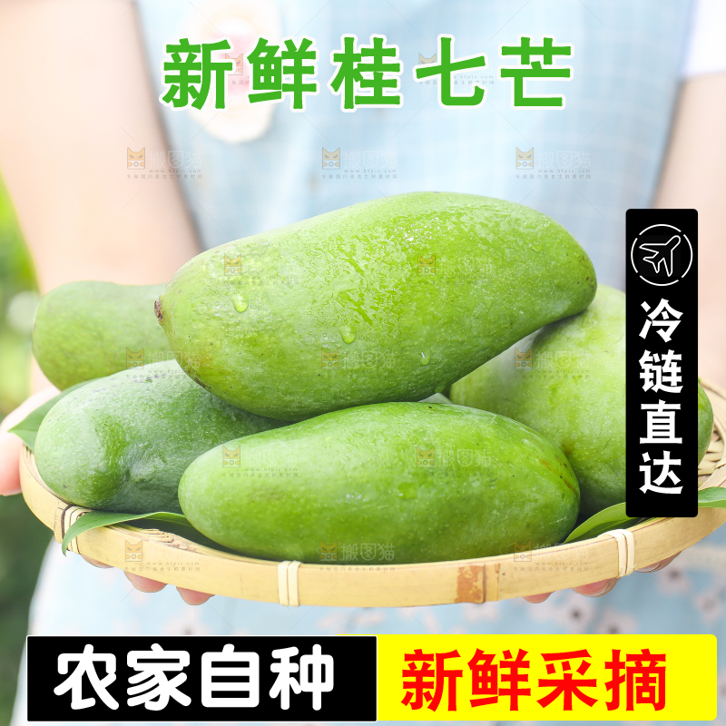 手端一盘桂七芒