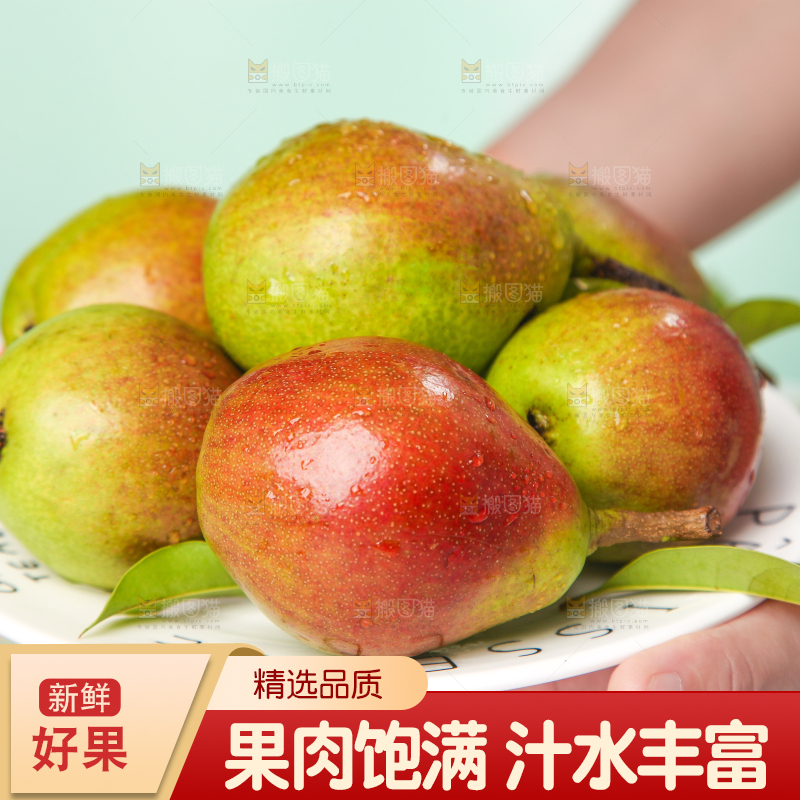 手端一盘太婆梨