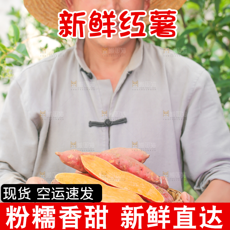 农民手里端着一盘红心红薯