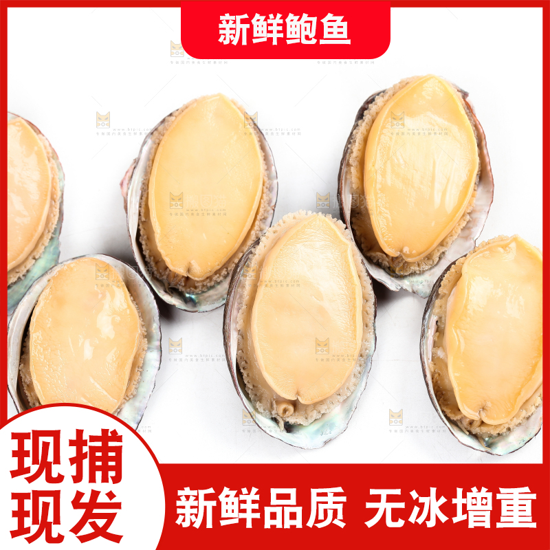 白底上放着新鲜剥开的鲜鲍鱼