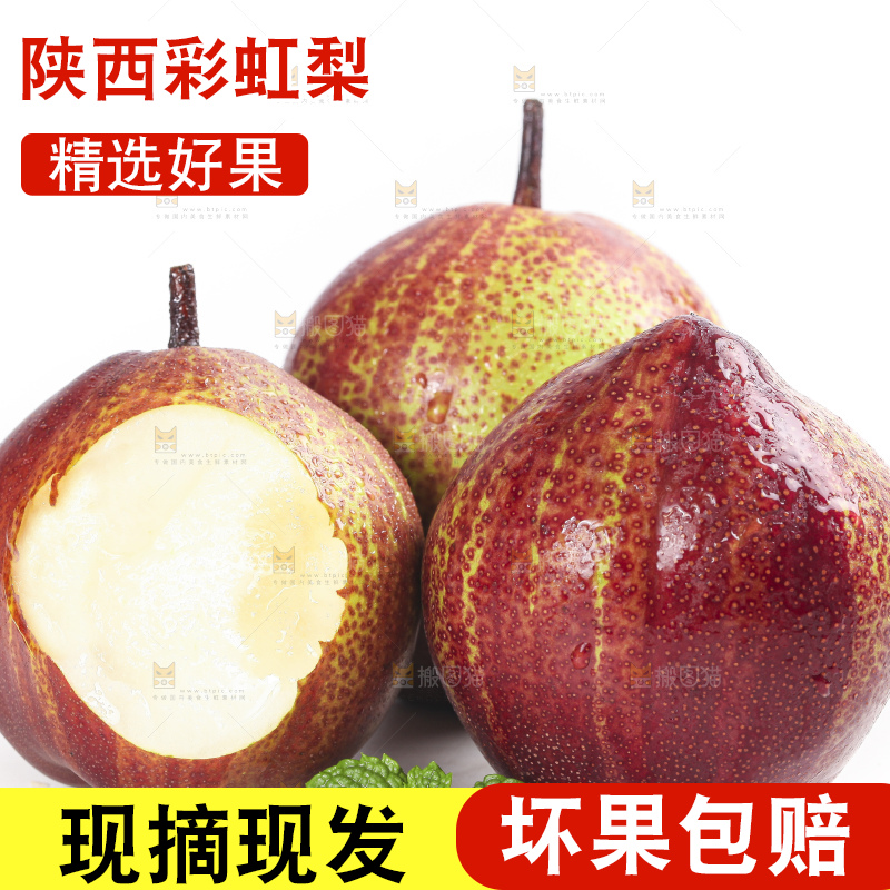 白底上的陕西彩虹梨