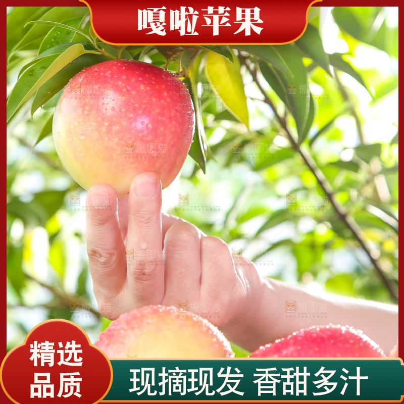 手拿陕西嘎啦苹果