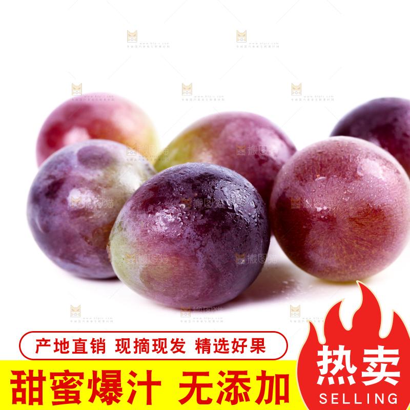白底上的新鲜巨峰葡萄