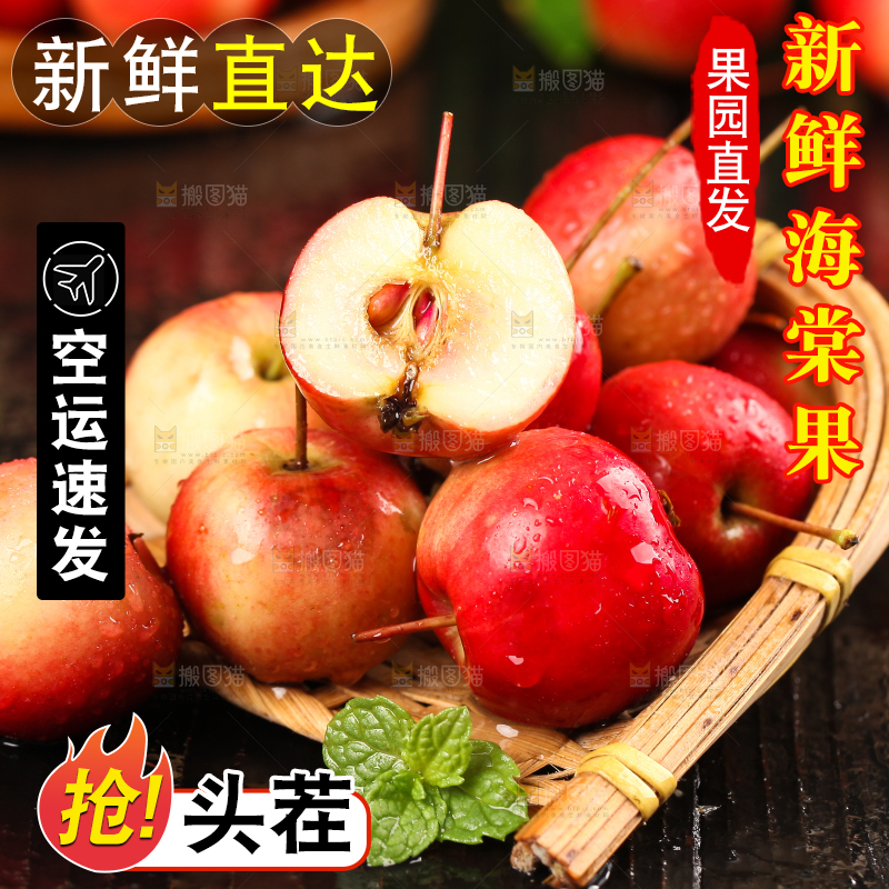 黑底上的海棠果