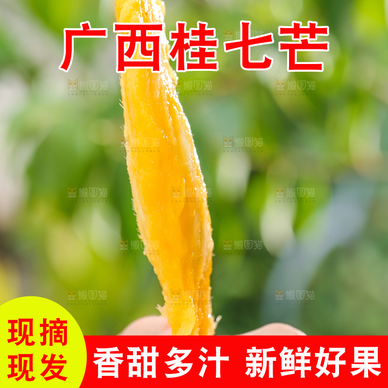 手拿桂七芒果核