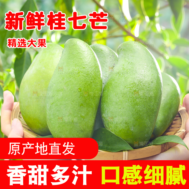 手端一盘桂七芒