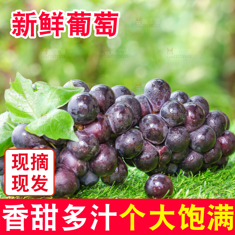 草地上的新鲜葡萄