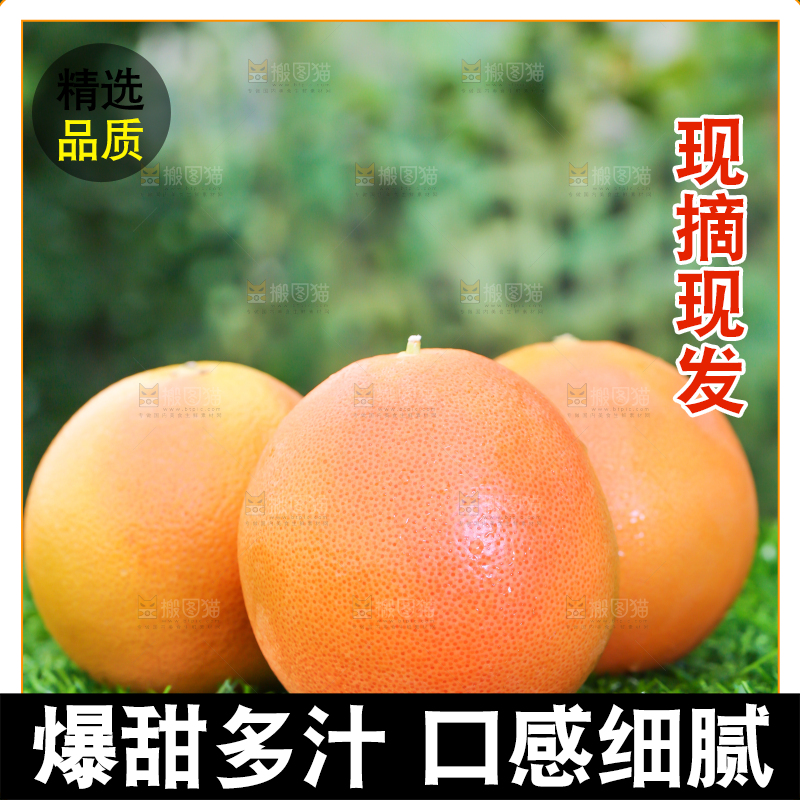 草地上放着红心西柚
