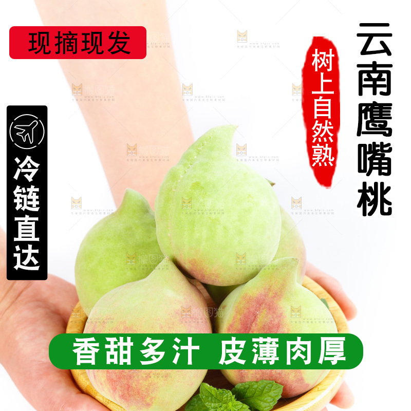 手拿着的鹰嘴桃