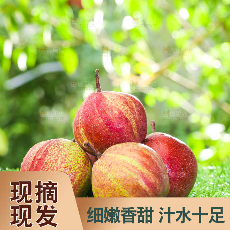 草地上放着早酥红梨子