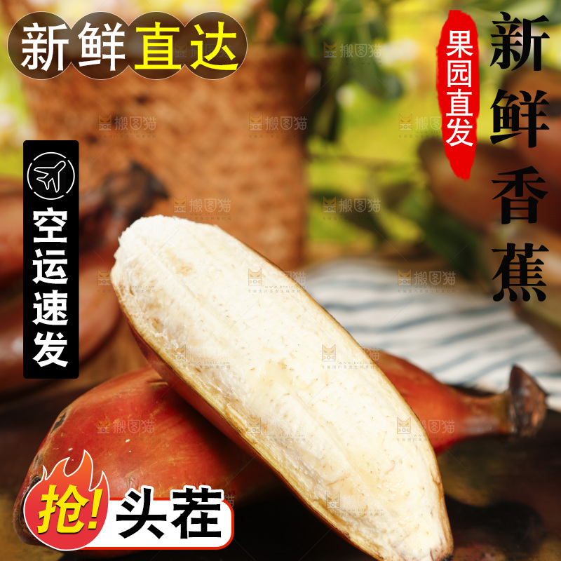 黑石板上的红皮美人蕉