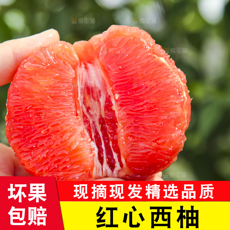手拿着剥皮的红心葡萄柚果肉