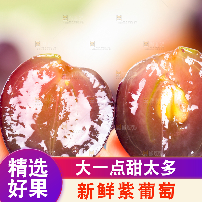 手拿切开的东北巨峰葡萄