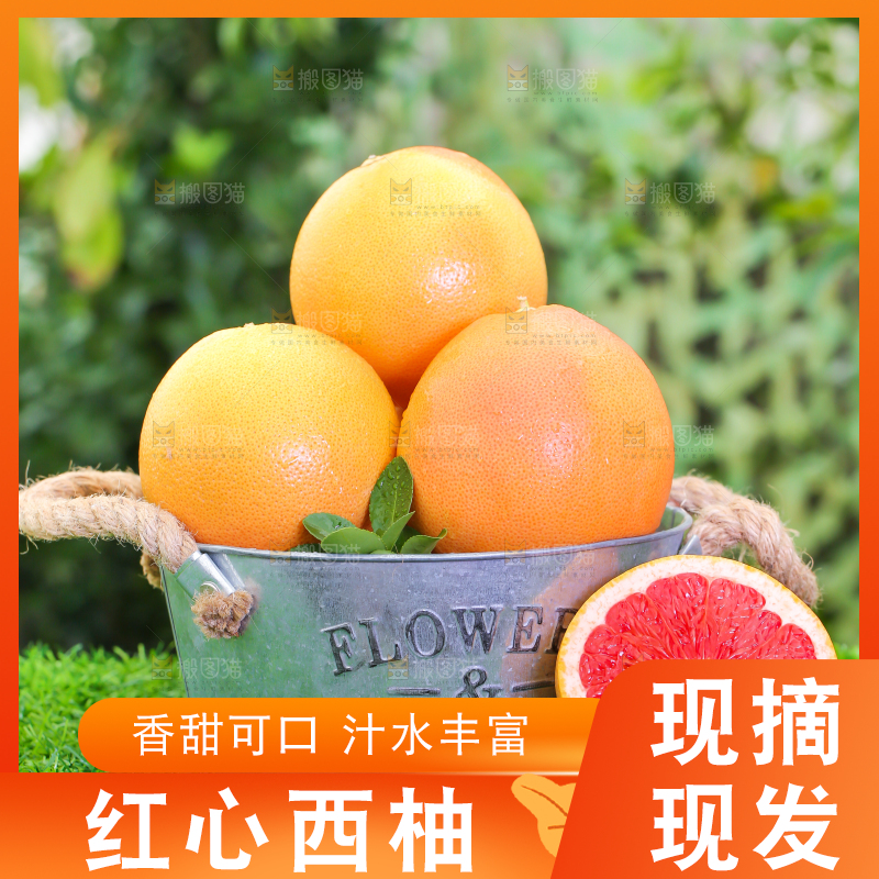 草地上放着南非西柚
