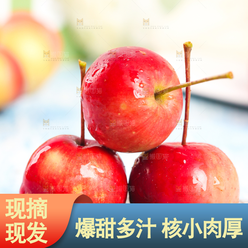 浅底上的东北海棠果