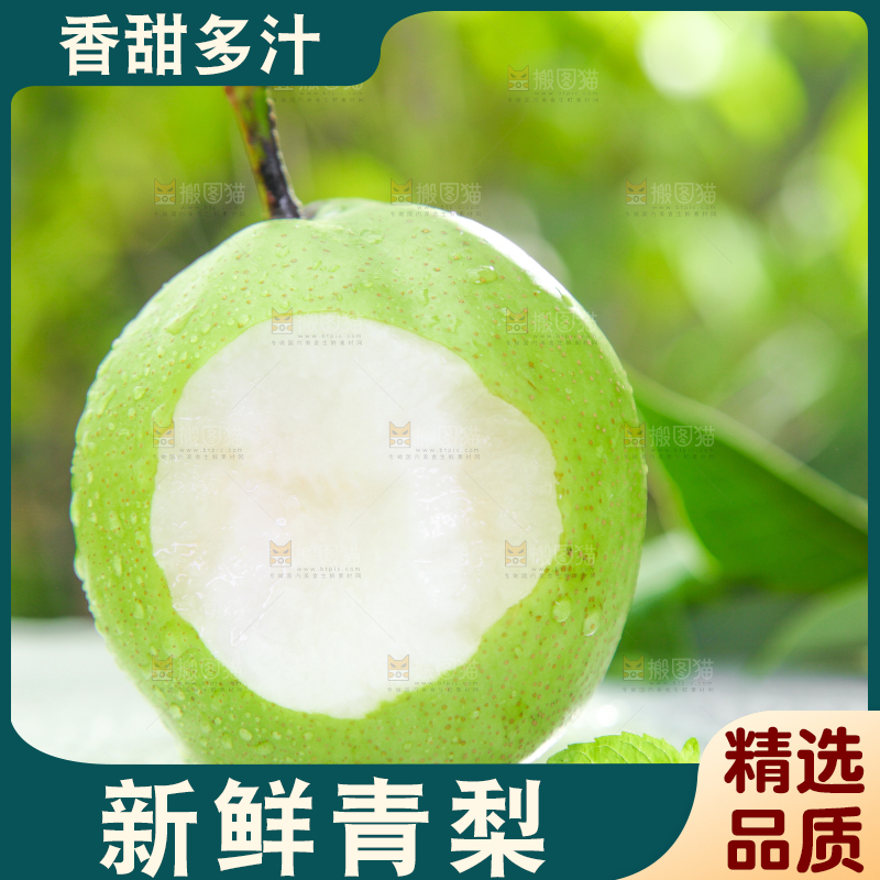 浅底上的陕西早酥梨