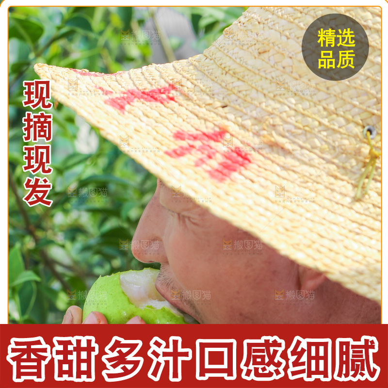农民正在吃青皮梨