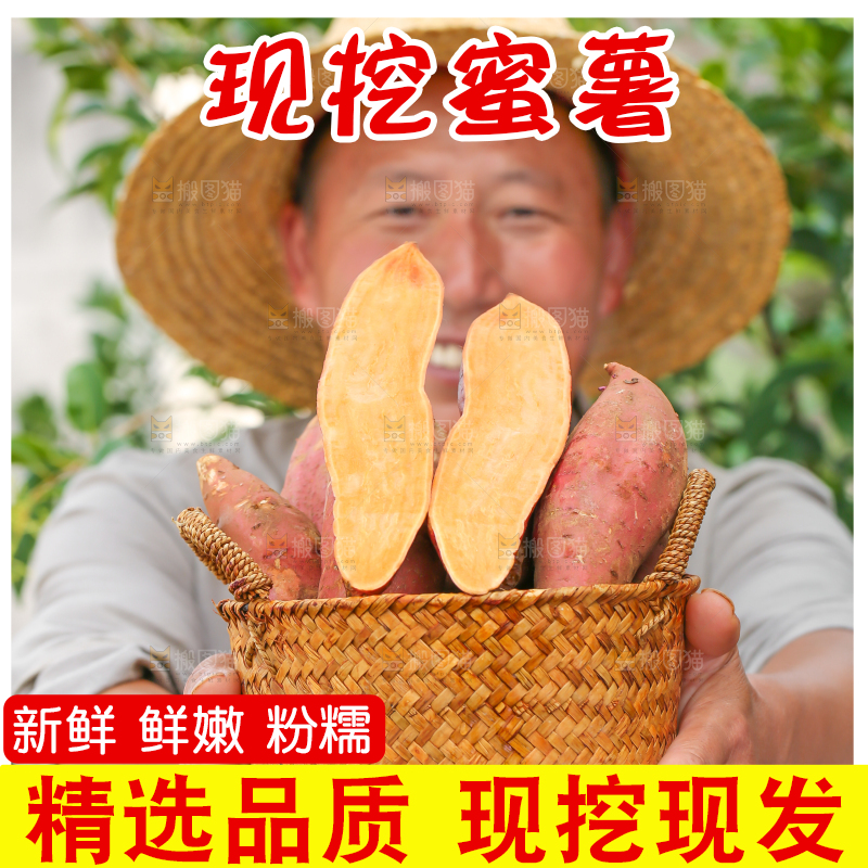 农民手里端着一筐红心红薯