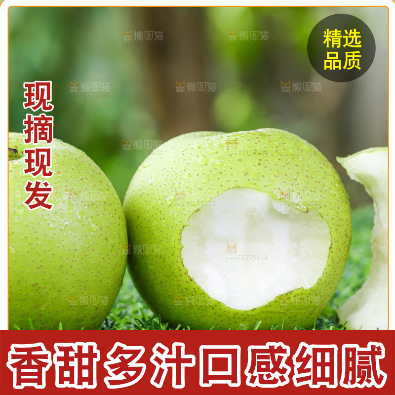 草地上的皇冠苹果梨