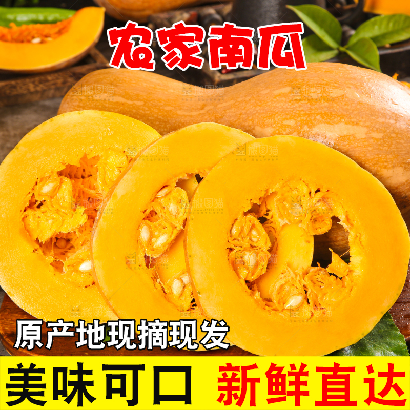 蜜本南瓜主图
