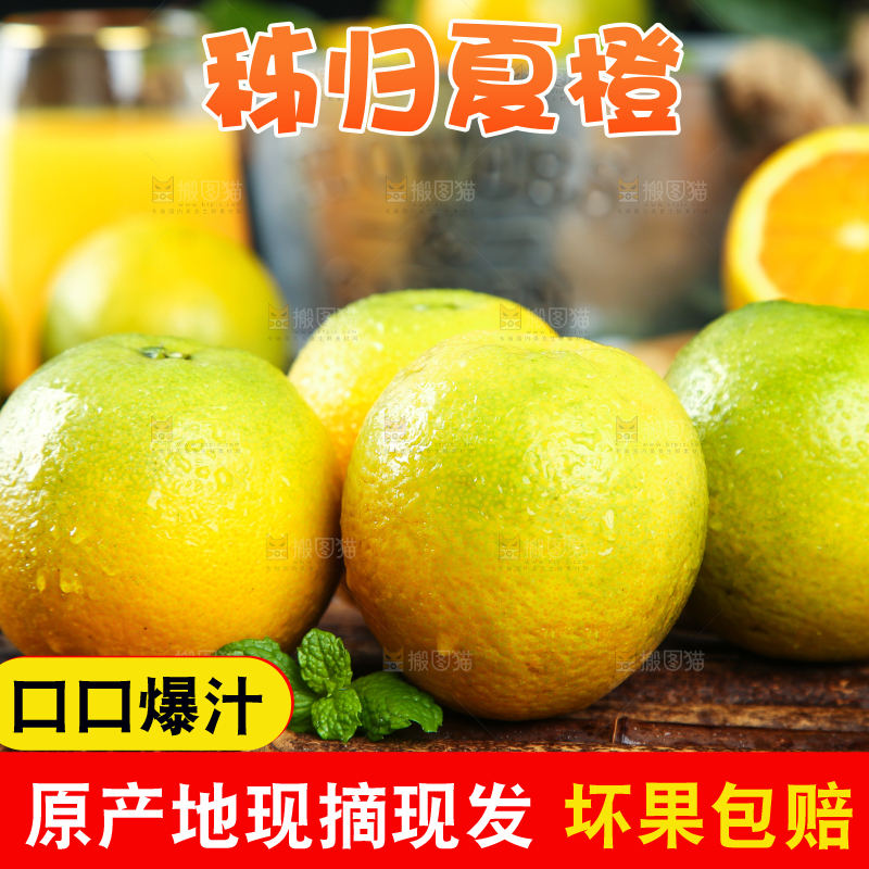 木底上的秭归夏橙