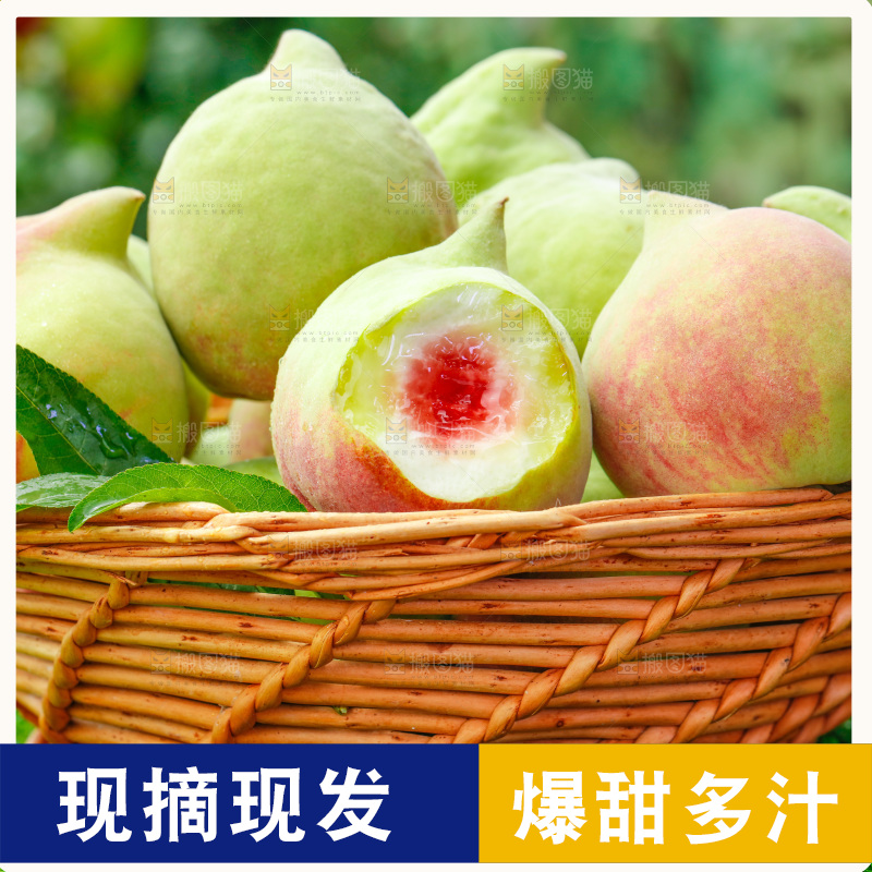 草地上的鹰嘴桃